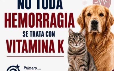 NO TODA HEMORRAGIA SE TRATA CON VITAMINA K