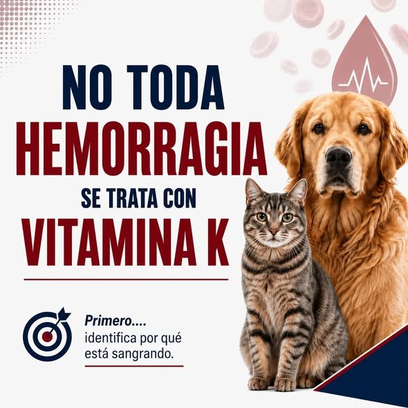NO TODA HEMORRAGIA SE TRATA CON VITAMINA K