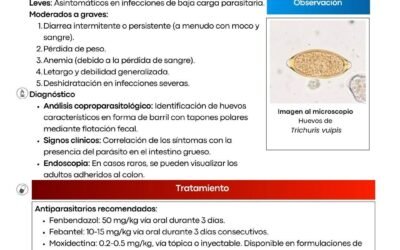 Trichuris vulpis