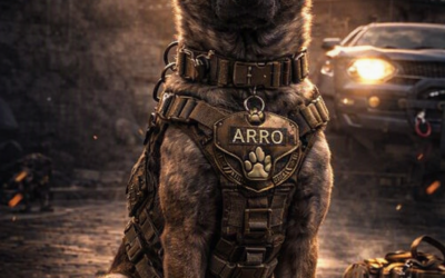 EL MALINOIS DE TRABAJO