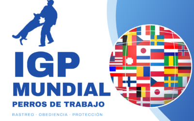 El IGP de élite