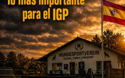 LOS CLUBES CANINOS: EL CORAZÓN DEL DEPORTE CANINO Y DEL IGP