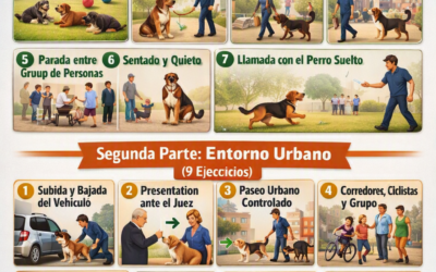 LA PRUEBA DE SOCIABILIDAD DE LA RSCE
