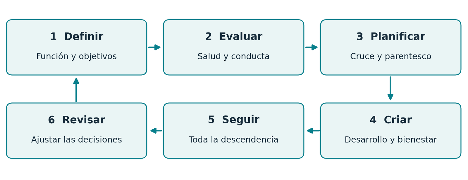 Ciclo del programa de cría: definir, evaluar, planificar, criar, seguir, revisar