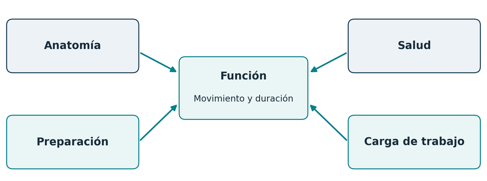 La función depende de la anatomía, la salud, la preparación y la carga de trabajo