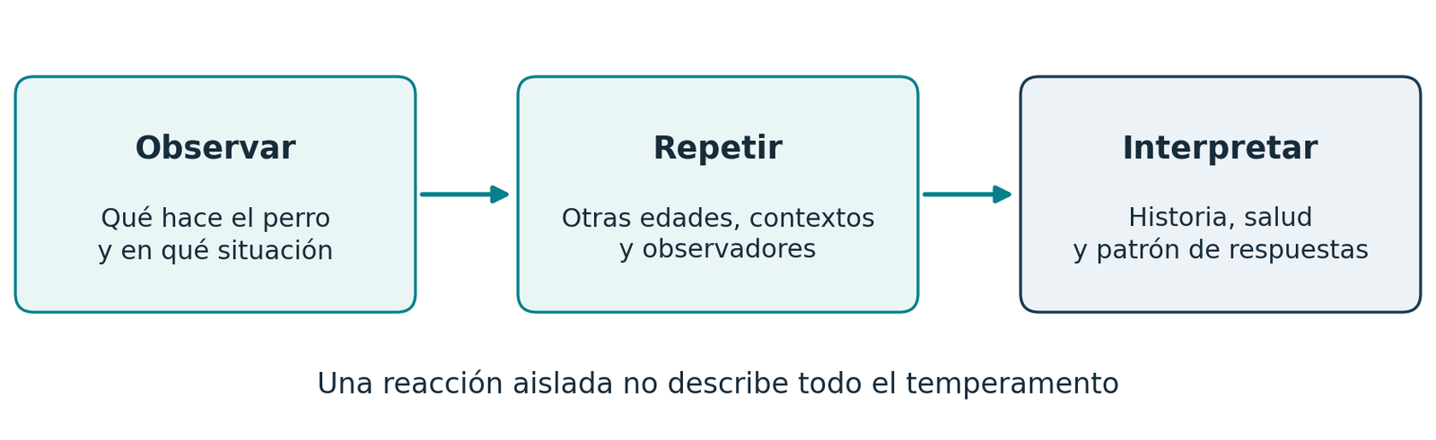 Observar, repetir e interpretar la conducta antes de concluir sobre el temperamento