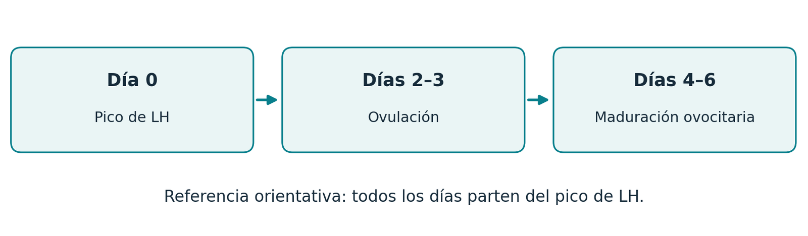 Referencia orientativa desde el pico de LH: ovulación días 2-3, maduración ovocitaria días 4-6
