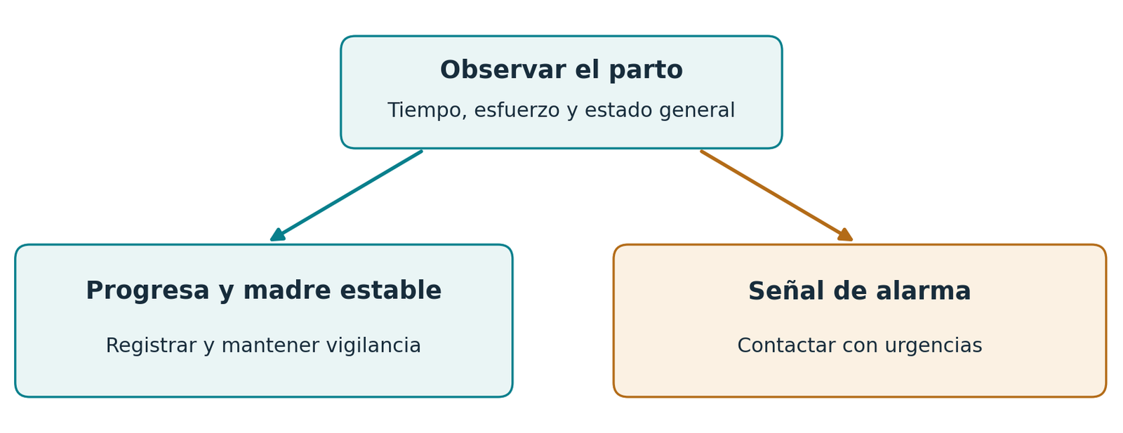 Observar el parto: progresa con madre estable o señal de alarma, contactar con urgencias