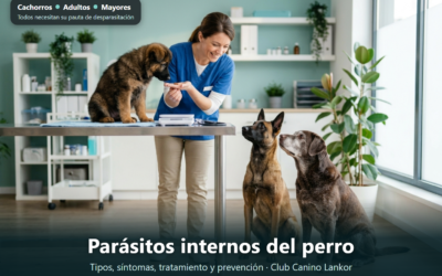 Parásitos internos del perro: tipos, síntomas, tratamiento y prevención