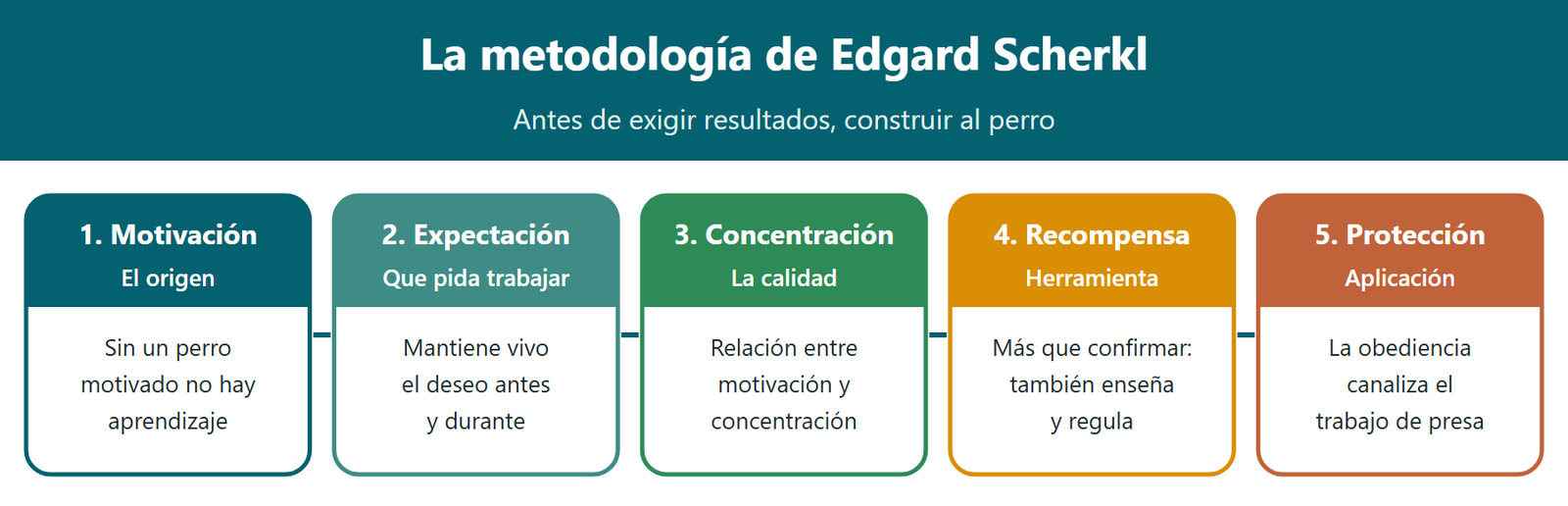 Metodología de Edgard Scherkl: motivación, expectación, concentración, recompensa y aplicación a la protección