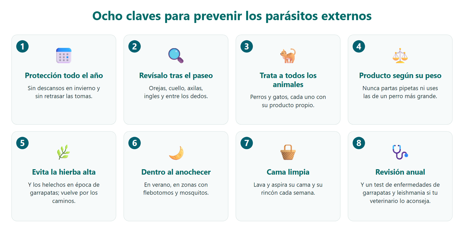 Ocho claves para prevenir los parásitos externos del perro: protección todo el año, revisarlo tras el paseo, tratar a todos los animales, producto según su peso, evitar la hierba alta, meterlo en casa al anochecer, cama limpia y revisión anual con el veterinario