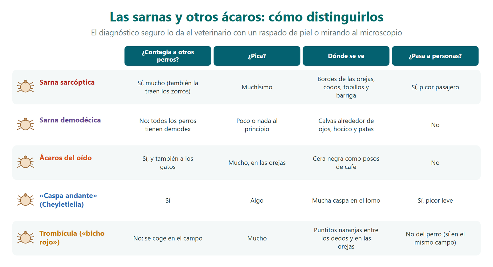 Tabla para distinguir las sarnas y otros ácaros del perro: sarna sarcóptica, sarna demodécica, ácaros del oído, caspa andante o Cheyletiella y trombícula, indicando si contagian a otros perros, si pican, dónde se ven y si pasan a las personas