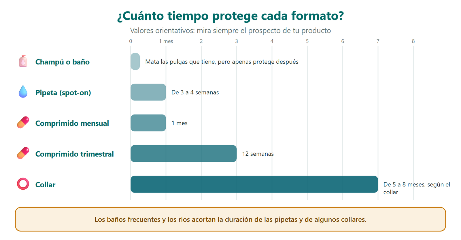 Cuánto tiempo protege cada formato de antiparasitario externo: el champú apenas protege después del baño, la pipeta de 3 a 4 semanas, el comprimido mensual un mes, el comprimido trimestral 12 semanas y el collar de 5 a 8 meses según el modelo