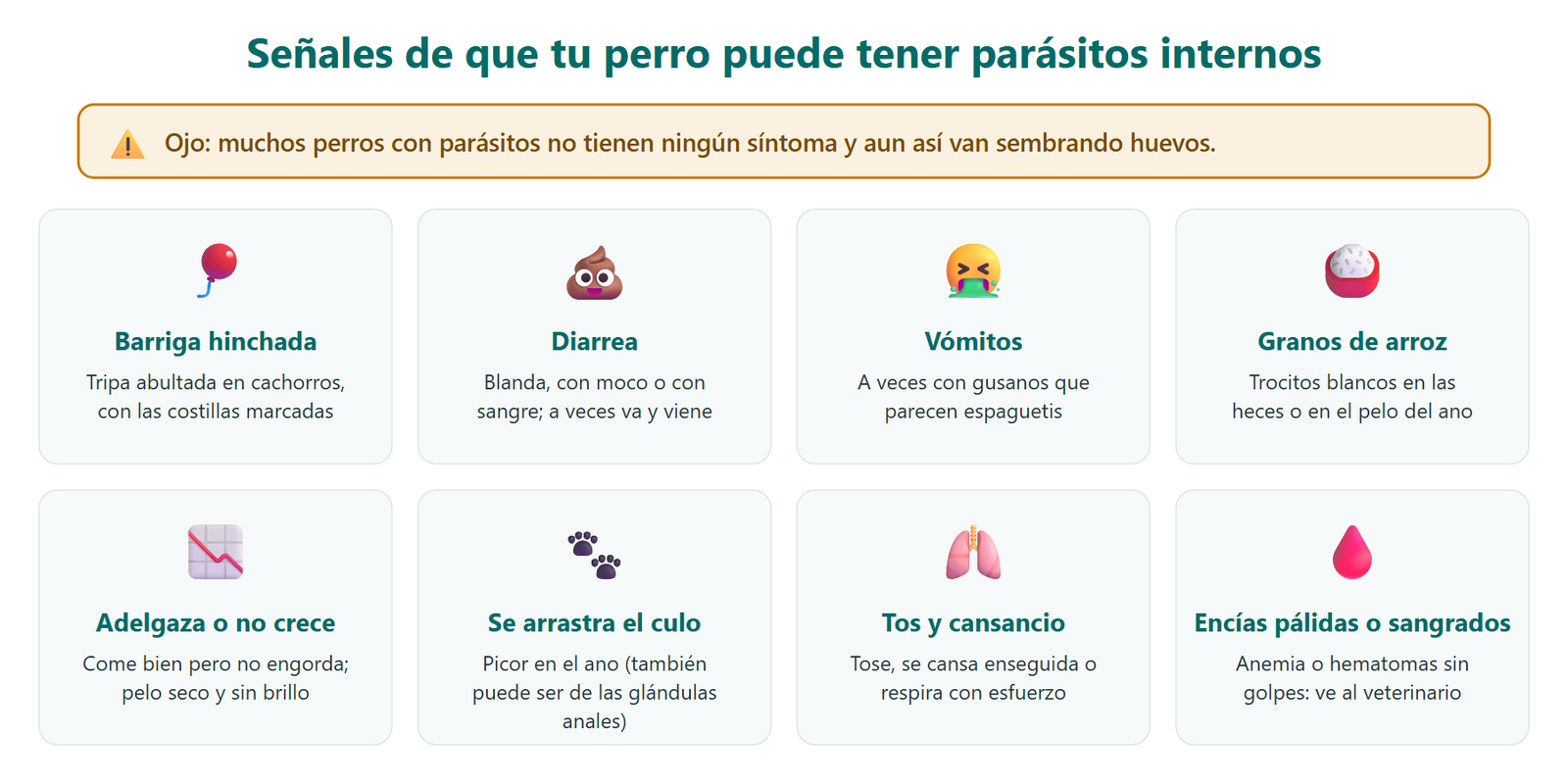 Ocho señales de que un perro puede tener parásitos internos: barriga hinchada, diarrea, vómitos, granos de arroz en las heces o el ano, adelgazamiento, arrastrar el culo, tos y cansancio, y encías pálidas o sangrados