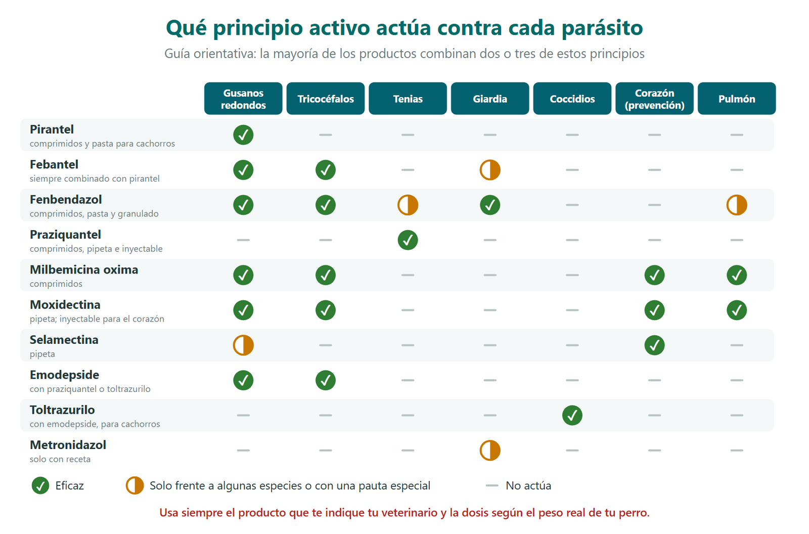 Cuadro de los principios activos desparasitantes del perro y los parásitos contra los que actúan: pirantel, febantel, fenbendazol, praziquantel, milbemicina oxima, moxidectina, selamectina, emodepside, toltrazurilo y metronidazol frente a gusanos redondos, tricocéfalos, tenias, giardia, coccidios, gusano del corazón y gusano del pulmón