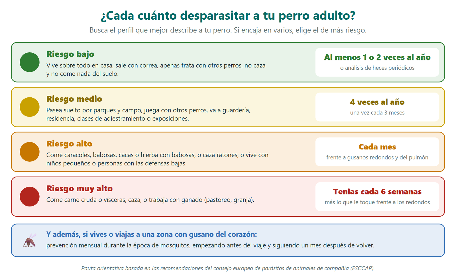 Frecuencia de desparasitación del perro adulto según su riesgo: riesgo bajo, al menos una o dos veces al año; riesgo medio, cuatro veces al año; riesgo alto, cada mes frente a gusanos redondos y del pulmón; riesgo muy alto, frente a tenias cada seis semanas; y prevención mensual del gusano del corazón en zonas de mosquitos