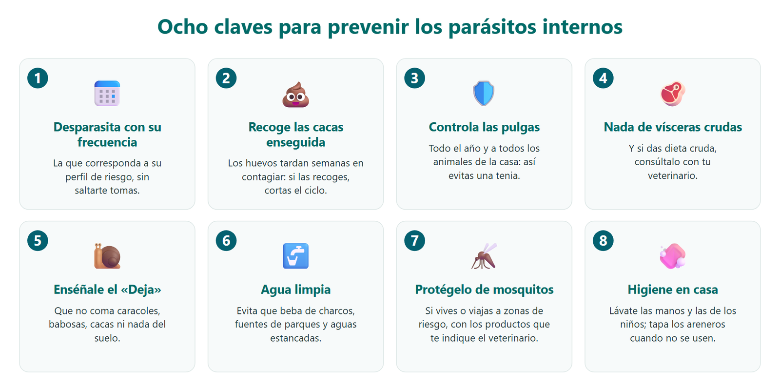 Ocho claves para prevenir los parásitos internos del perro: desparasitar con la frecuencia adecuada, recoger las cacas enseguida, controlar las pulgas, no dar vísceras crudas, enseñar la orden Deja, darle agua limpia, protegerlo de los mosquitos y mantener la higiene en casa