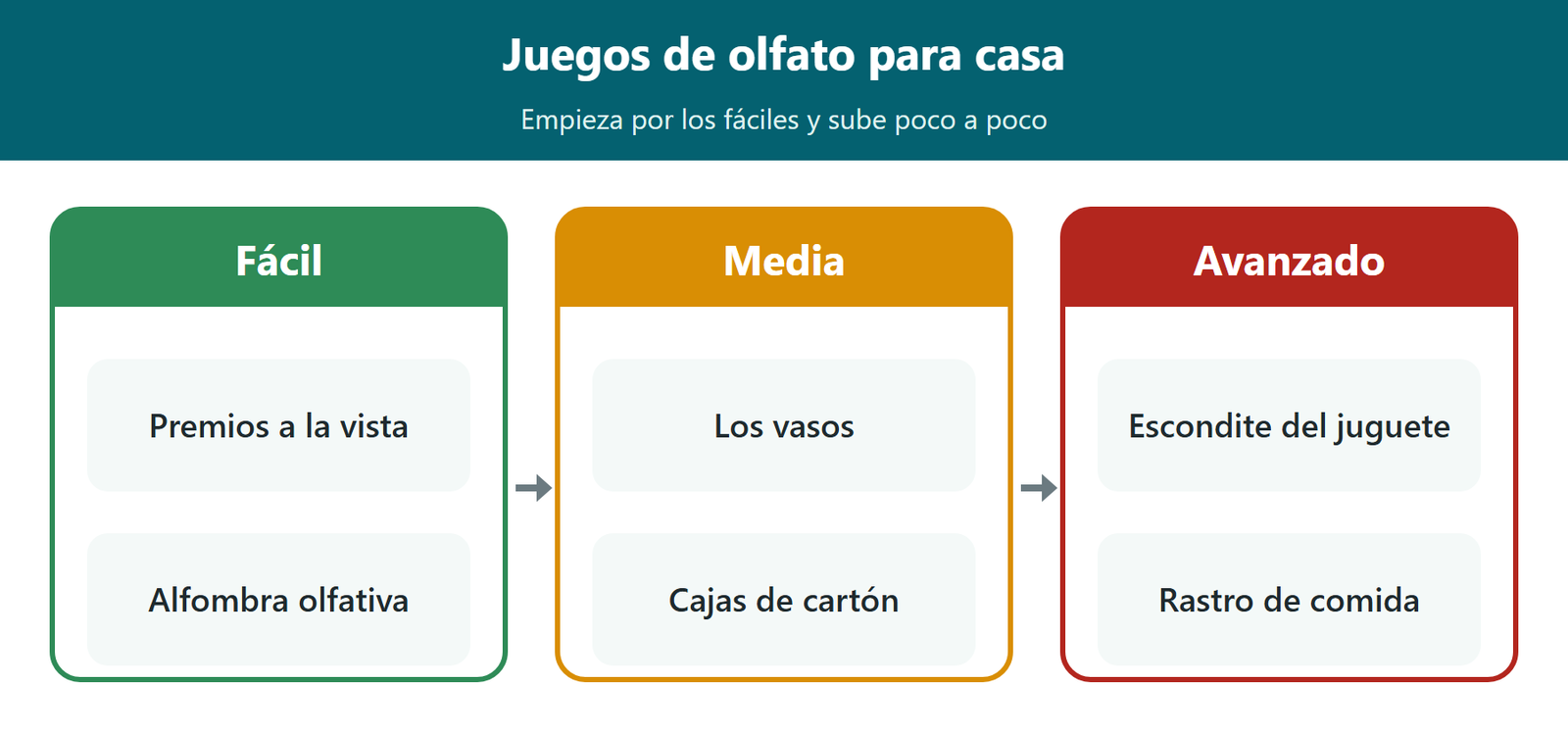 Esquema: juegos de olfato para casa por dificultad: fáciles, medios y avanzados